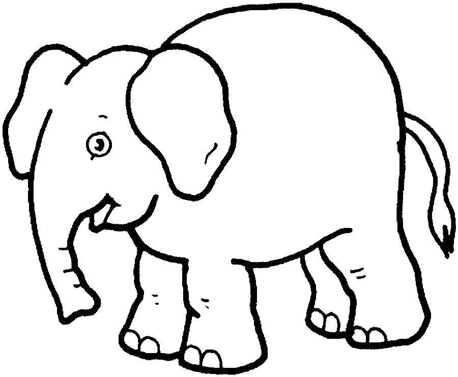 Название: Раскраска Слоник. Категория: Животные. Теги: слон, животные.