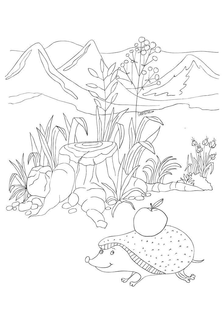 Coloring Forest nature. Category the forest. Tags:  Forest, trees, nature, animals.