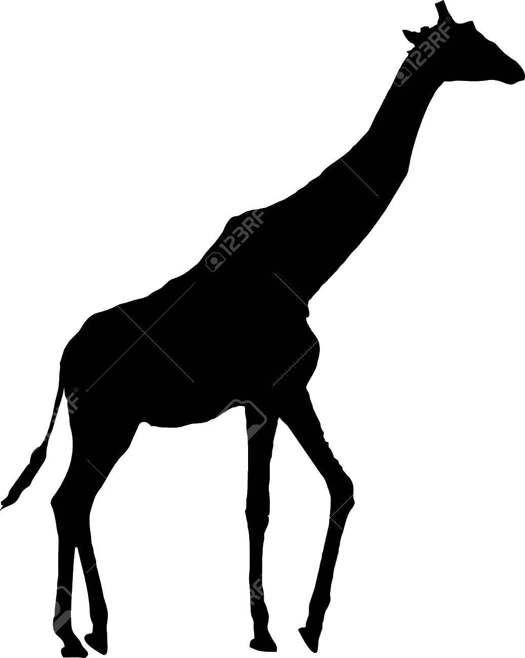 Coloring Zhirafik. Category The outline of a giraffe for cutting. Tags:  Animals, giraffe.