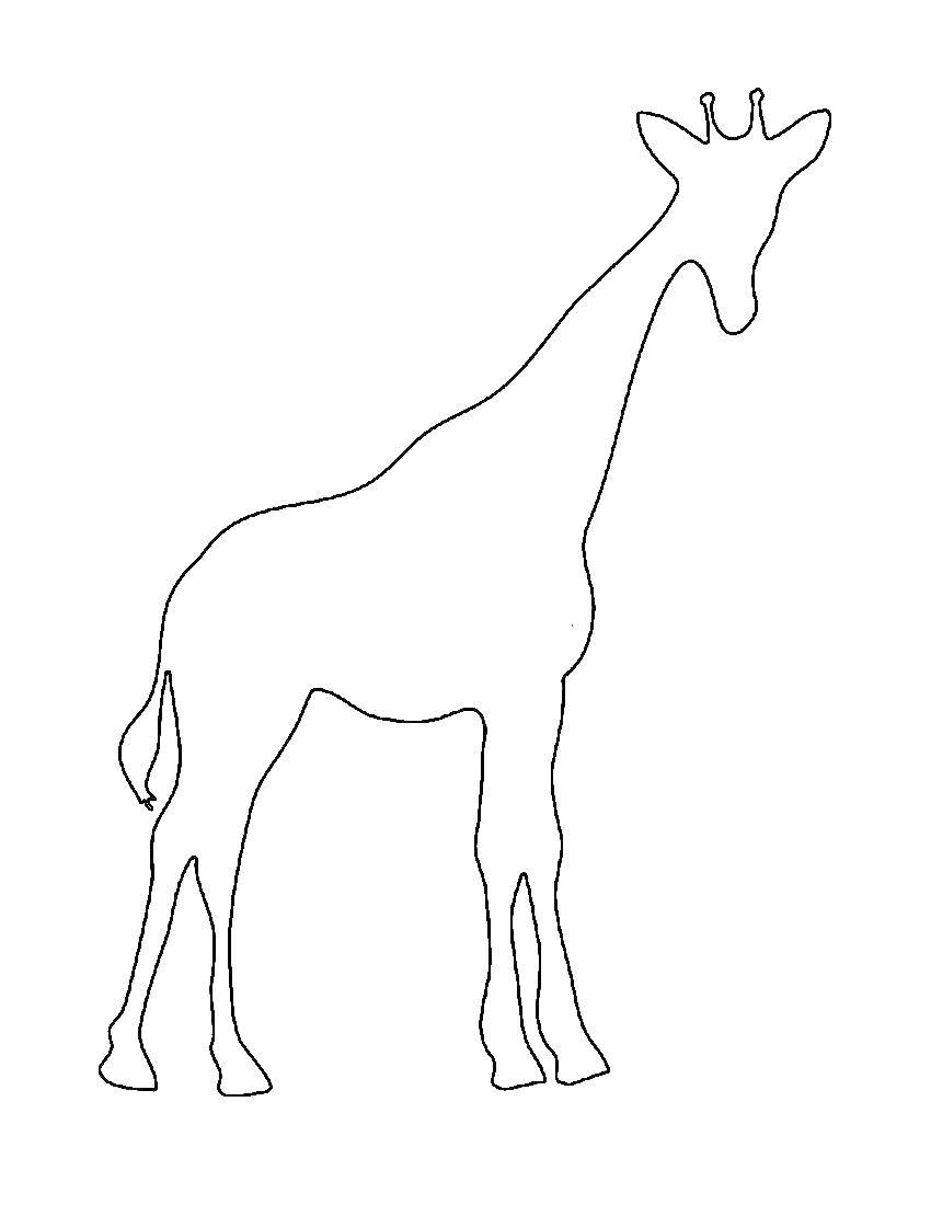 Розмальовки  Жирафик. Завантажити розмальовку Тварини, жираф.  Роздрукувати ,Контур жирафа для вирізання,