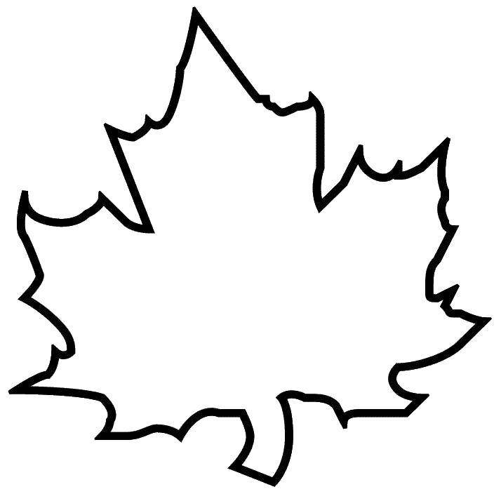 Coloring Maple leaf. Category maple leaf. Tags:  Leaves, tree, maple, autumn.