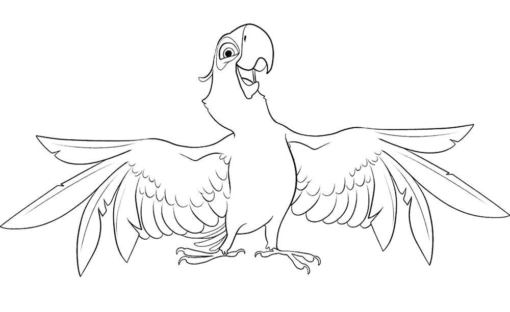Название: Раскраска Счастливый попугай. Категория: попугай. Теги: Птицы, попугай.