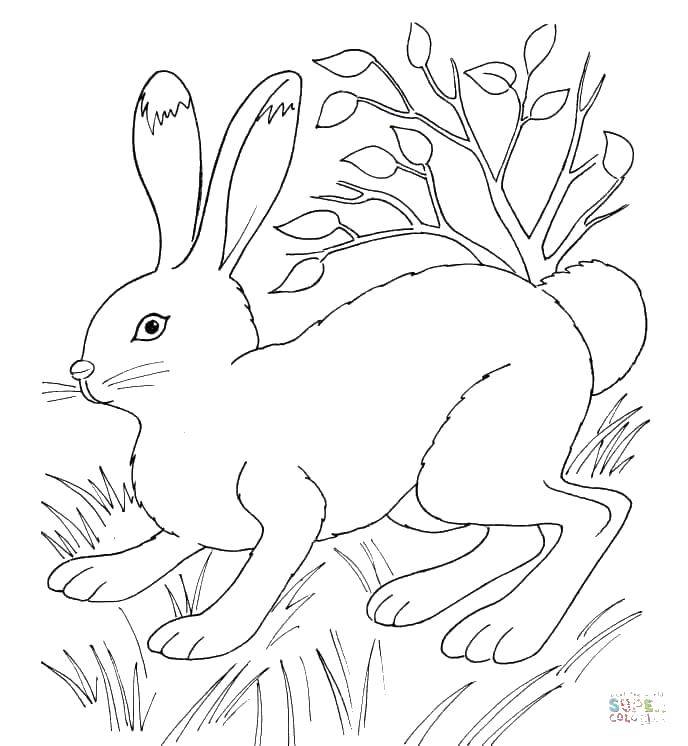 Название: Раскраска Зайка. Категория: Контур зайца для вырезания. Теги: Животные, зайчик.