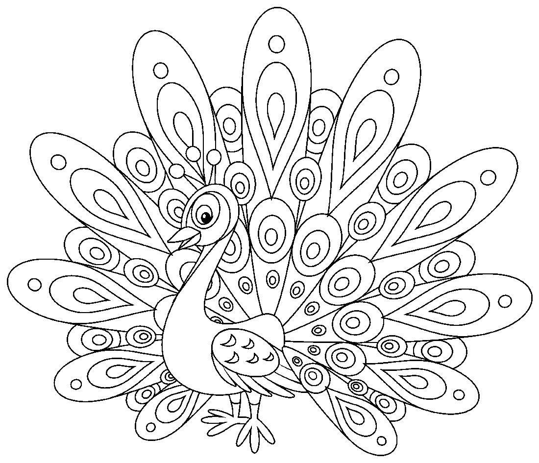 Coloring The Mr. peacock. Category peacock. Tags:  Birds, peacock.