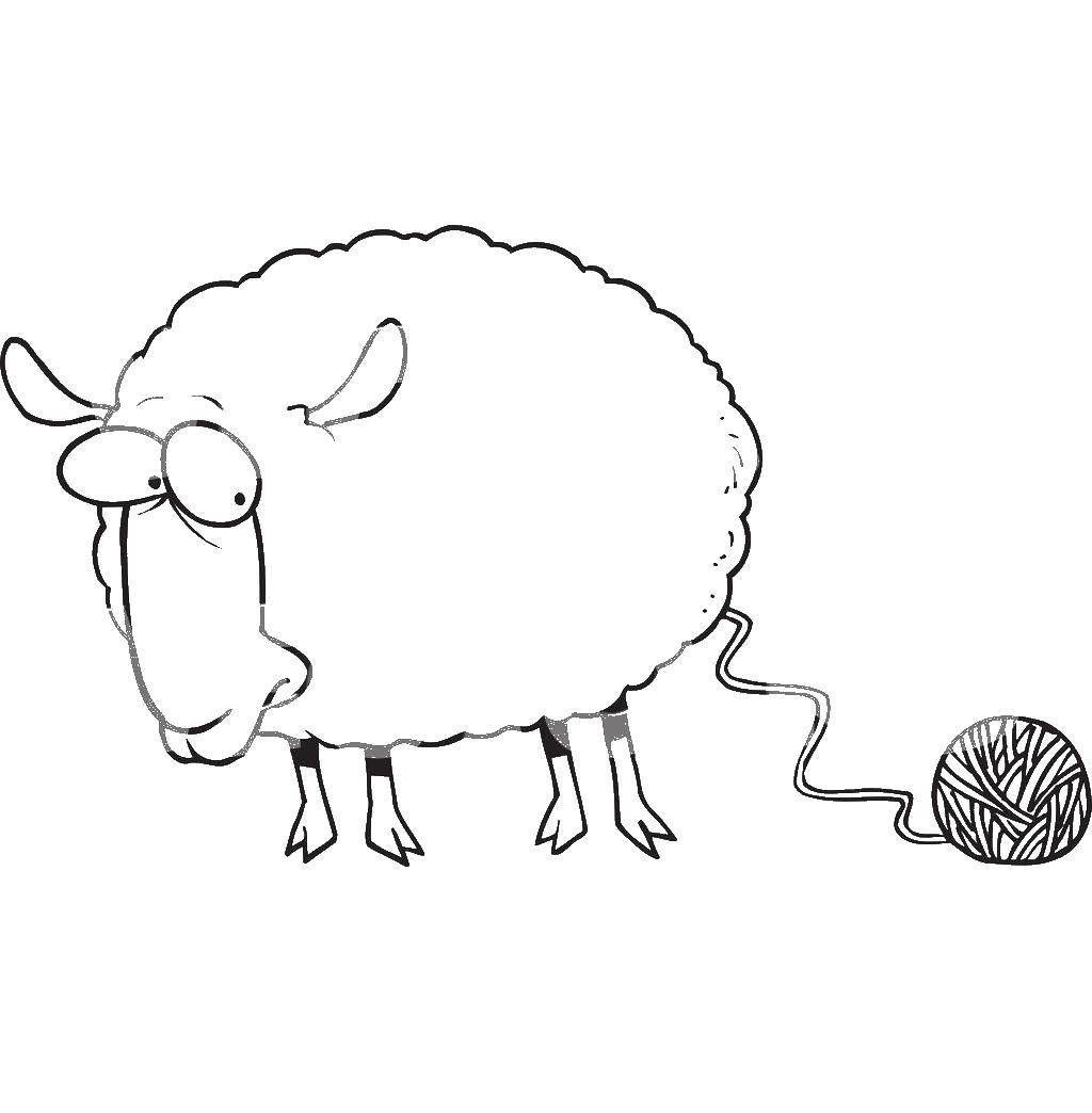 Название: Раскраска Овечка с клубочокм. Категория: домашние животные. Теги: Животные, овечка.