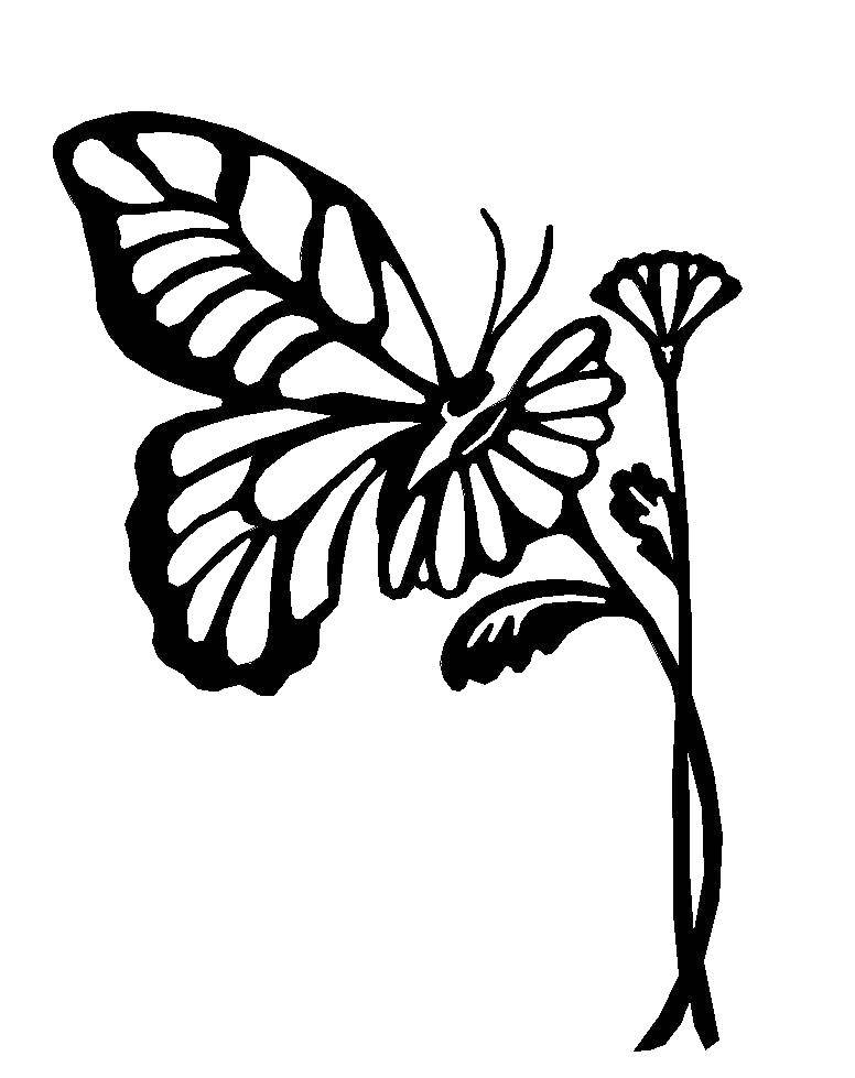 Название: Раскраска Бабочка на цветочках. Категория: бабочки. Теги: Бабочка, цветы.