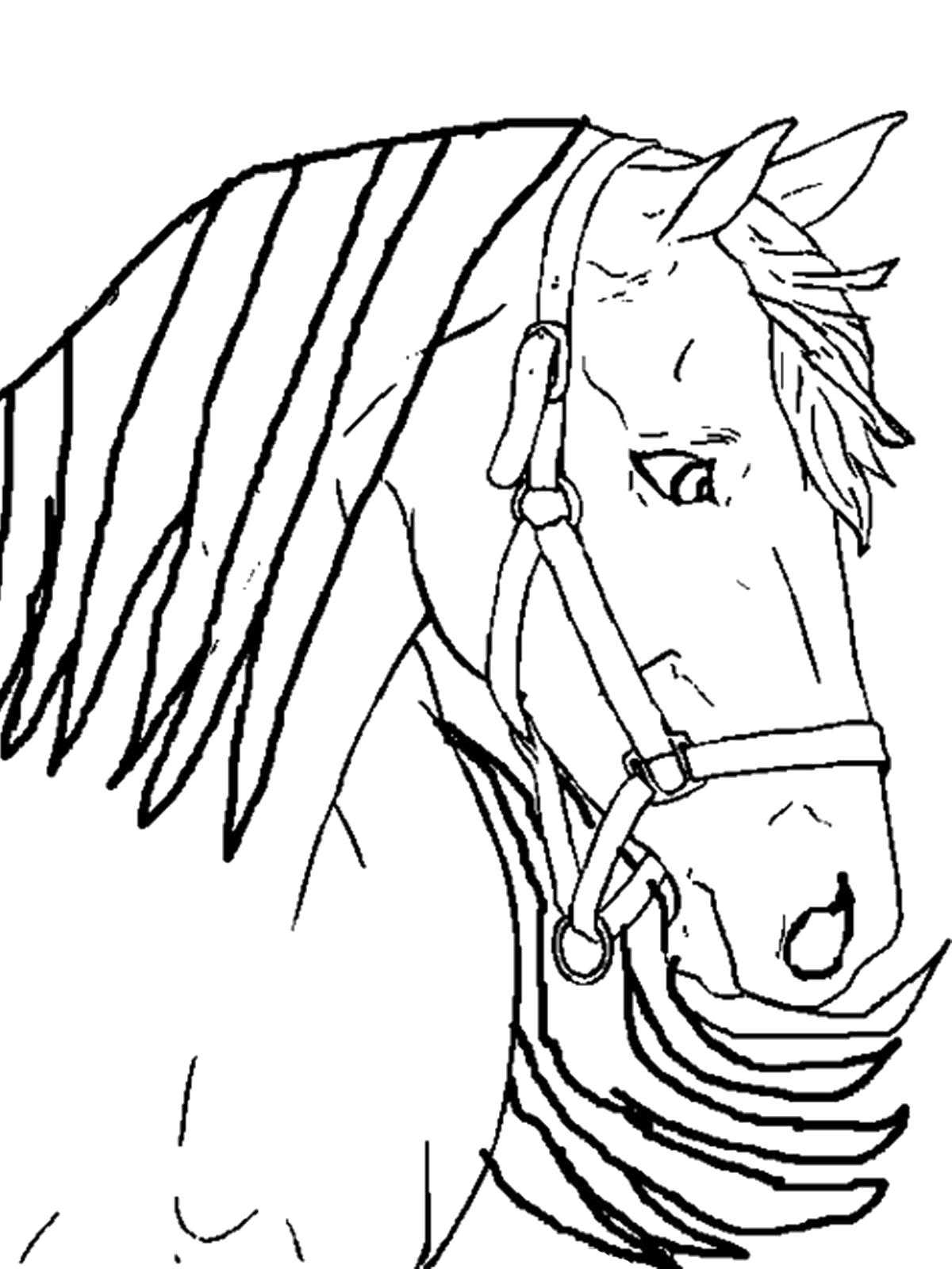 Название: Раскраска Голова лошади с уздечкой. Категория: домашние животные. Теги: лошадка.