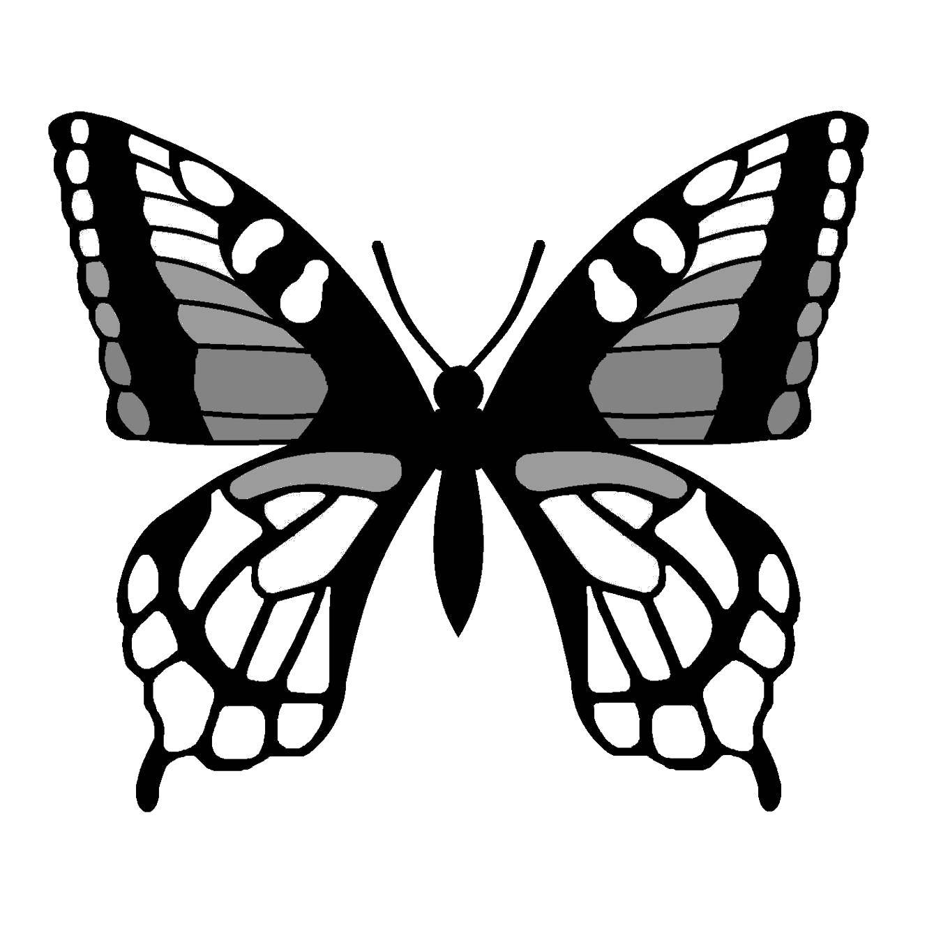 Название: Раскраска Бабочка с красивыми крылышками. Категория: контуры бабочек для вырезания. Теги: Бабочка.