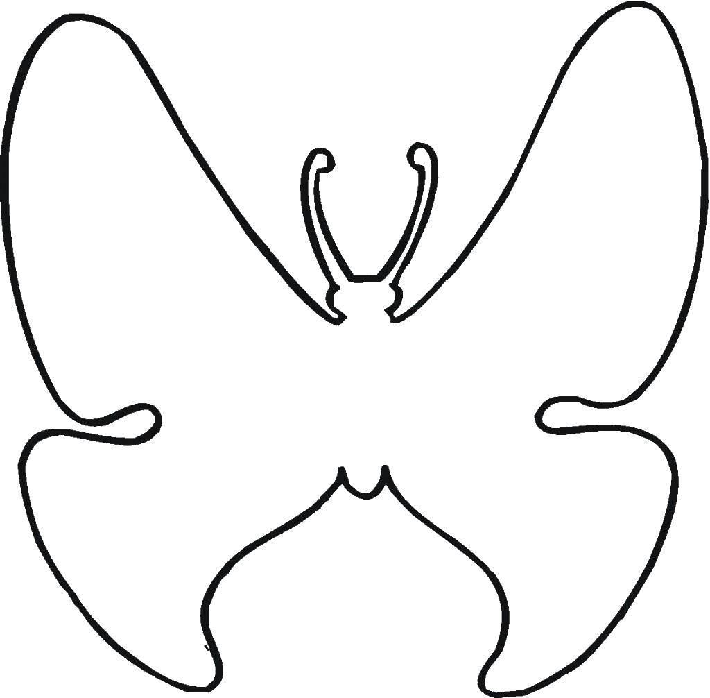Название: Раскраска Бабочка. Категория: контуры бабочек для вырезания. Теги: насекомые, бабочка, крылья.