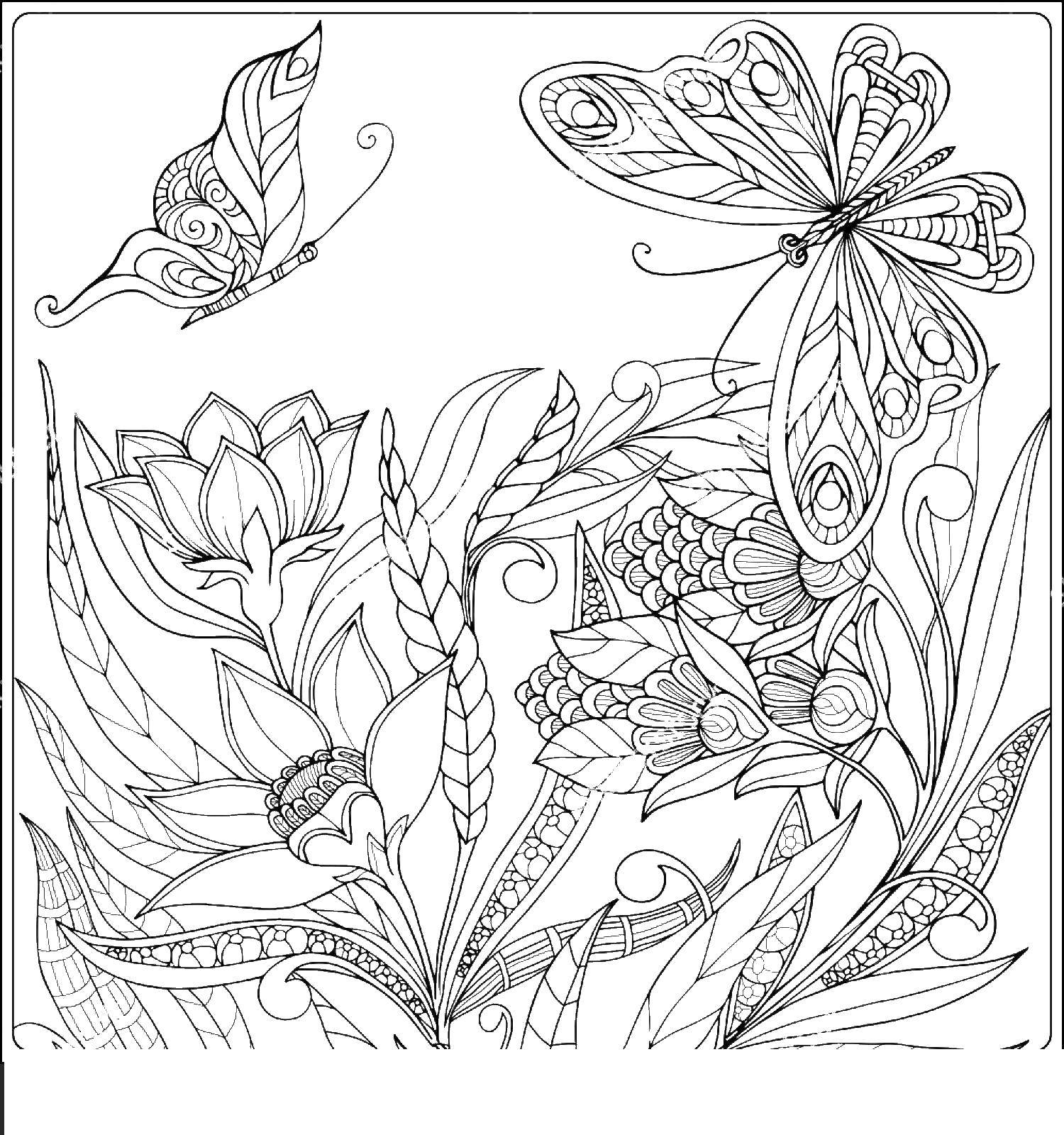 Coloring Butterflies in flowers. Category butterfly. Tags:  Butterfly.