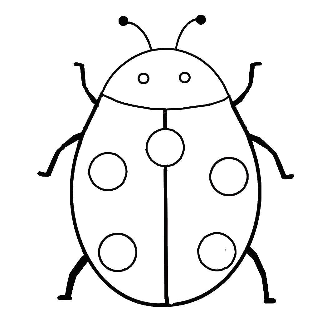 Coloring Ladybug. Category insects. Tags:  Insects, ladybug.