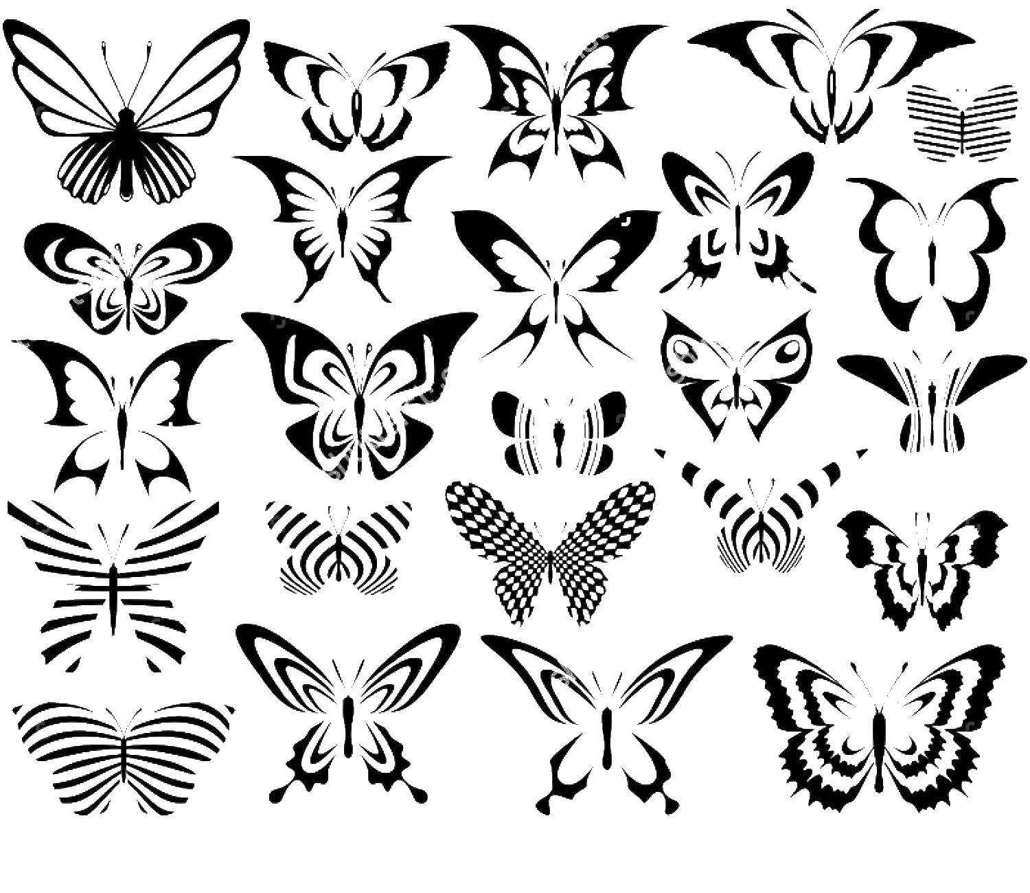 Название: Раскраска Контуры бабочек. Категория: контуры бабочек для вырезания. Теги: Контур, бабочка.