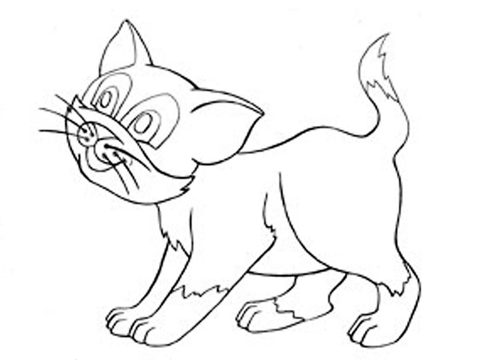Coloring Kitty. Category Pets allowed. Tags:  cat, kitten.