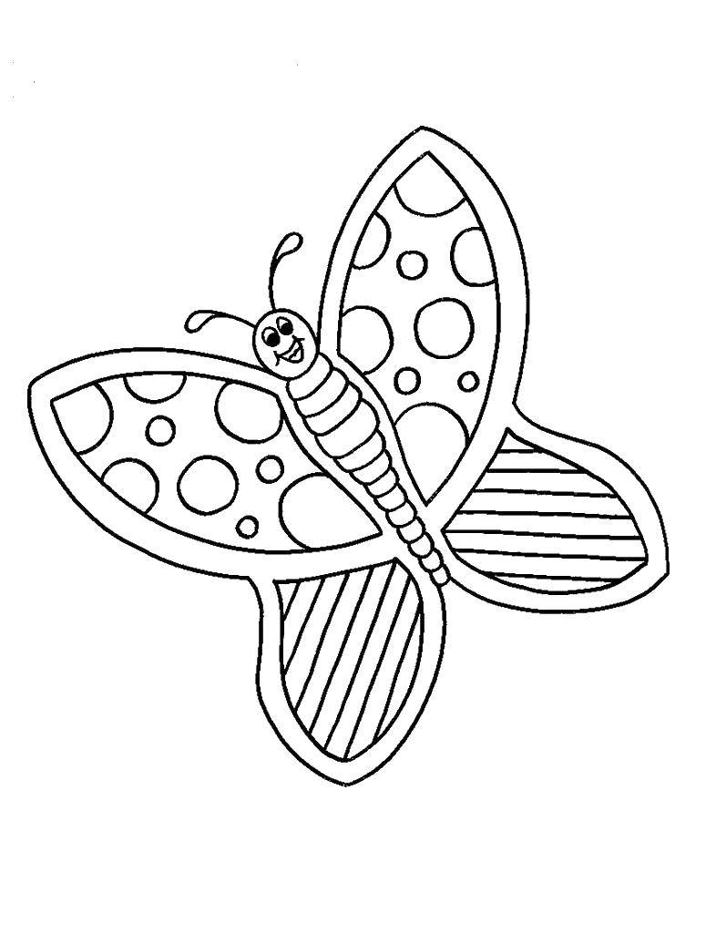Название: Раскраска Счастливая бабочка. Категория: бабочки. Теги: Бабочка.