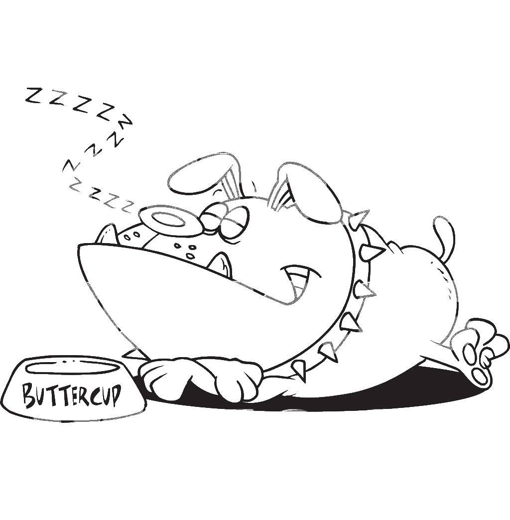 Название: Раскраска Спящий щенок. Категория: Сон. Теги: Сон, усталость.