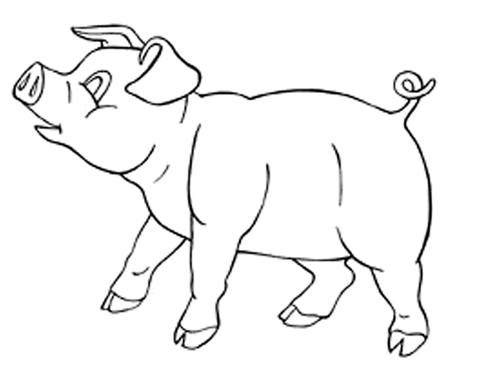 Coloring Pig. Category Pets allowed. Tags:  the pig.
