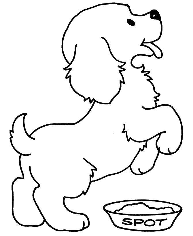 Coloring Spot. Category Animals. Tags:  Animals, dog.