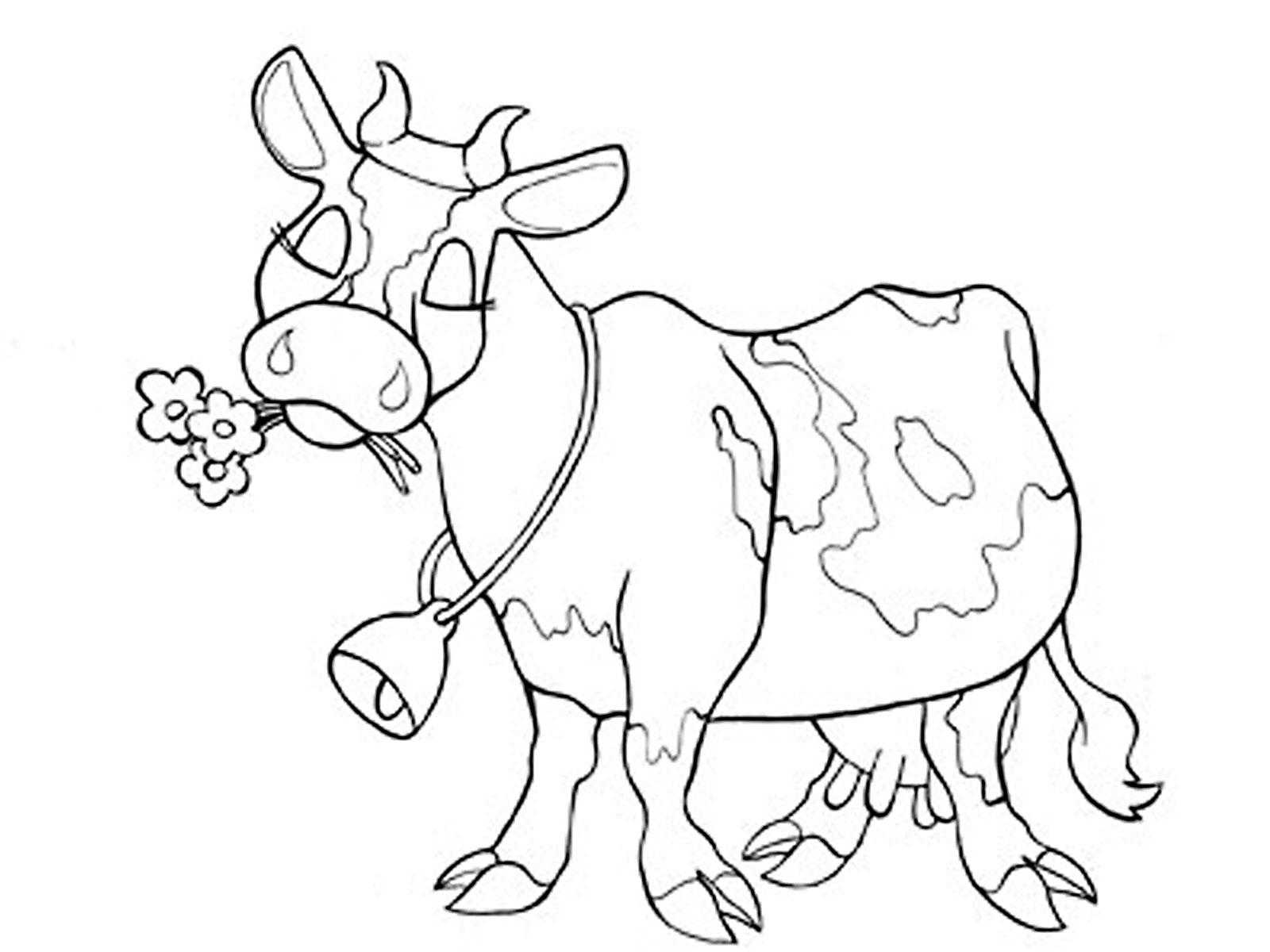 Название: Раскраска Корова с колокольчиком жует цветочки. Категория: домашние животные. Теги: корова, цветы, колокольчик.