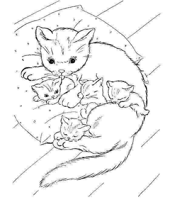 Название: Раскраска Мама кошка с котятами. Категория: Животные. Теги: Животные, котёнок.