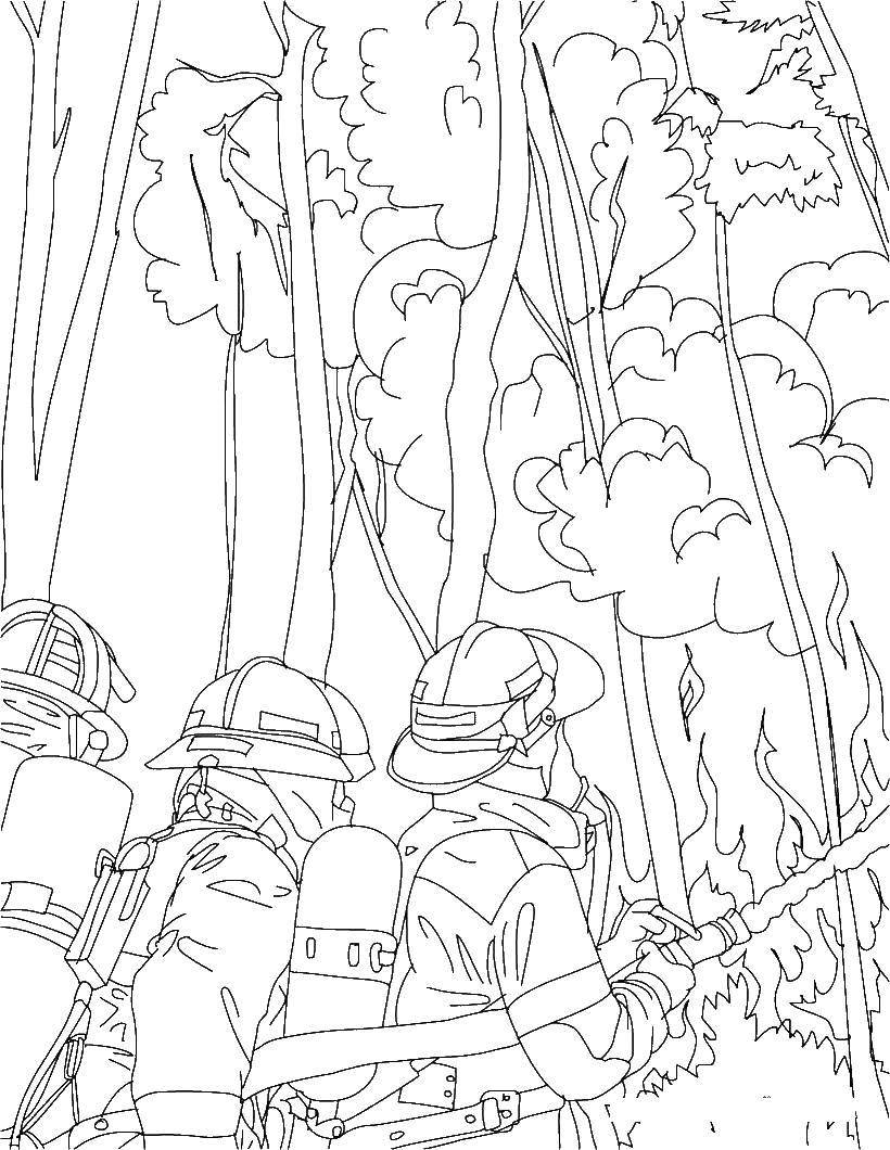 Coloring Firefighters extinguish a fire in the forest. Category Fire. Tags:  Fire, fire.