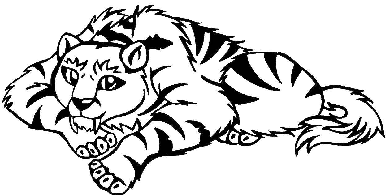Название: Раскраска Саблезубый тигр. Категория: Животные. Теги: Животные, тигр.