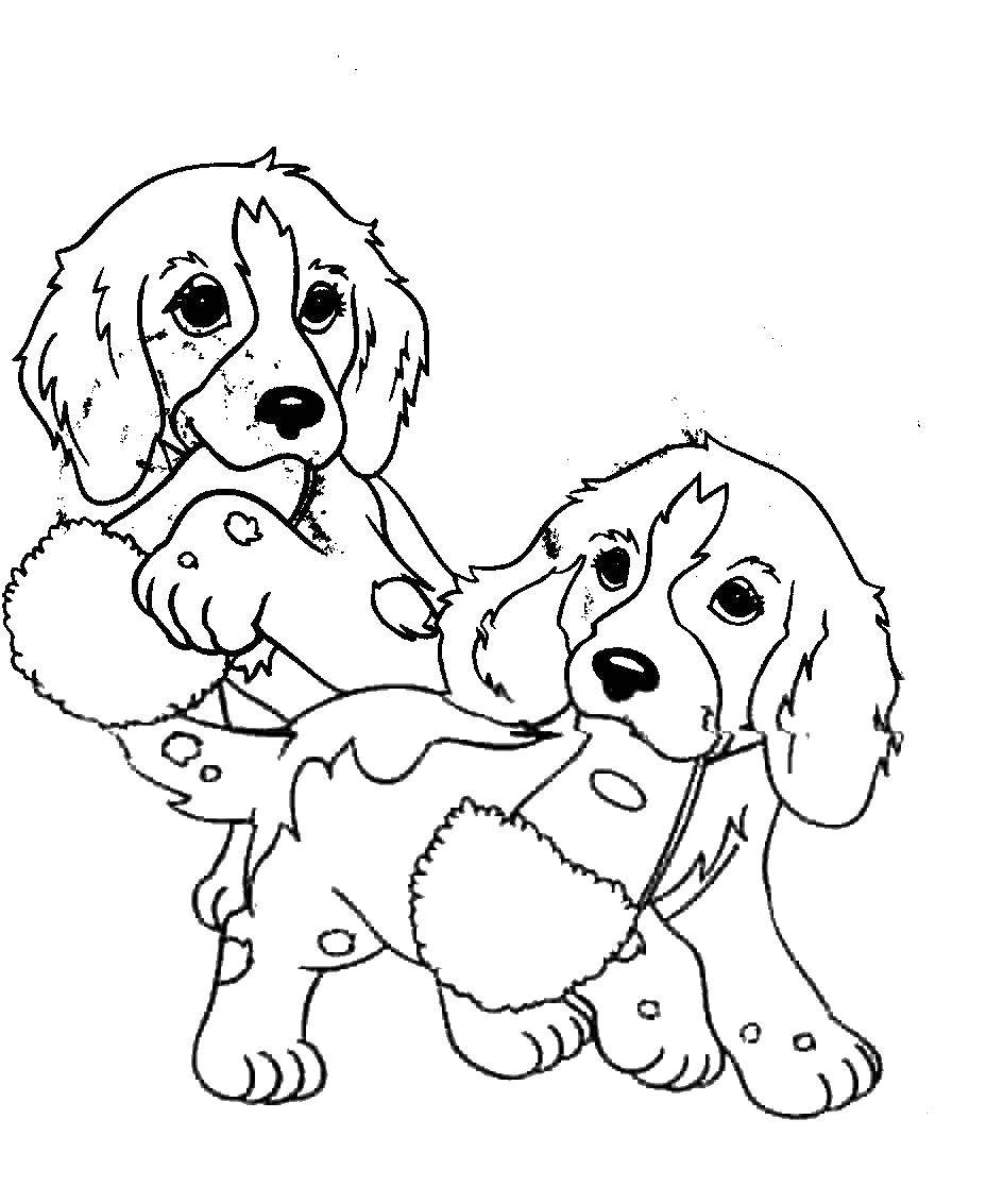 Coloring Puppies playing with Slippers. Category Animals. Tags:  Animals, dog.