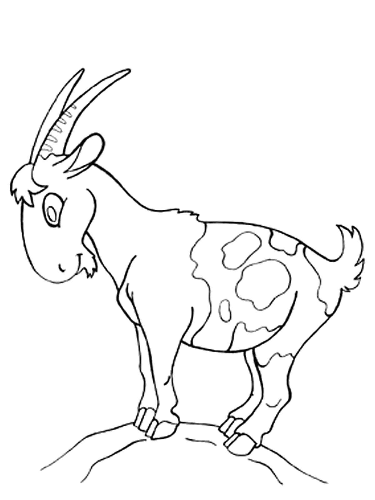 Coloring Goat on the mountain. Category Pets allowed. Tags:  goat, mountain.
