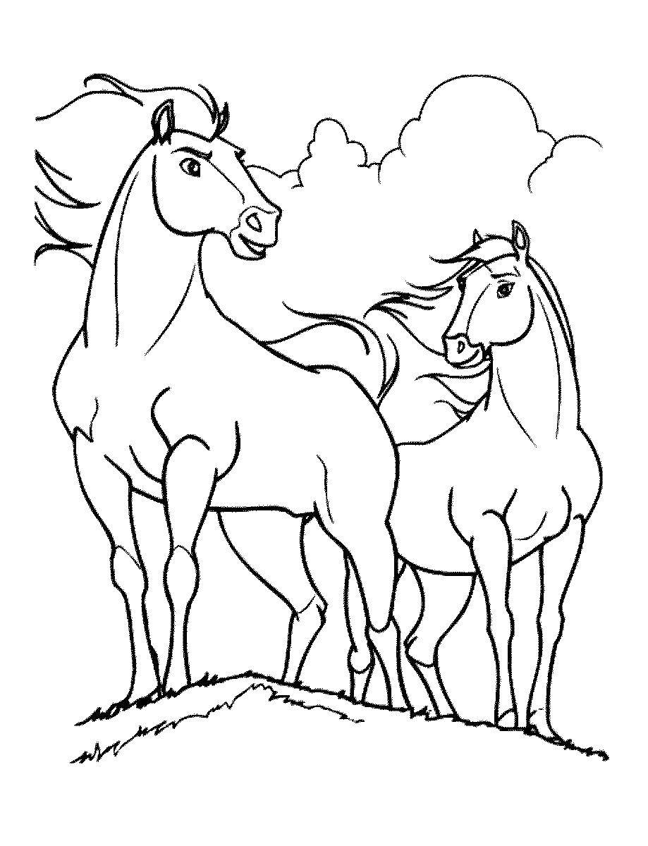 Название: Раскраска Лошади. Категория: Животные. Теги: животные, лошади, конь.