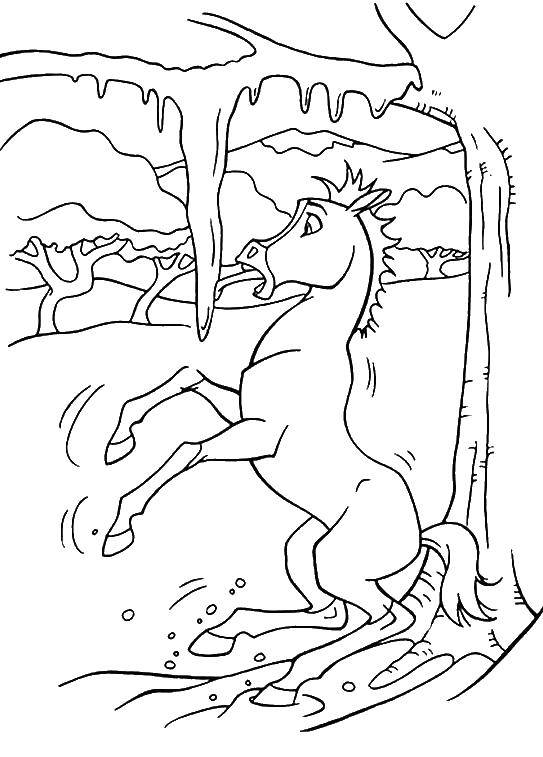 Coloring Horse and icicle. Category the icicle. Tags:  the horse , an icicle.