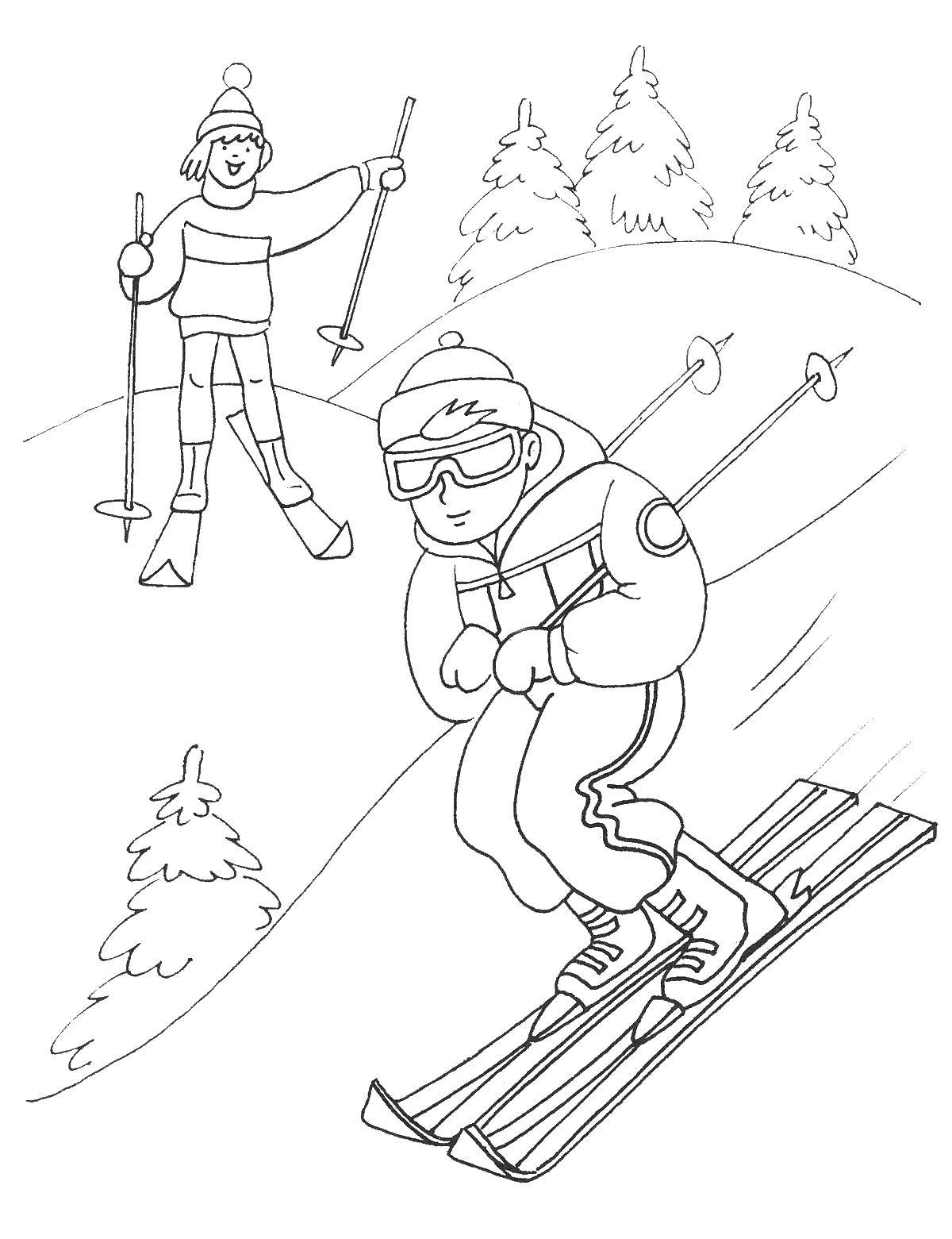 Название: Раскраска Лыжники. Категория: зима. Теги: лыжники, зима.