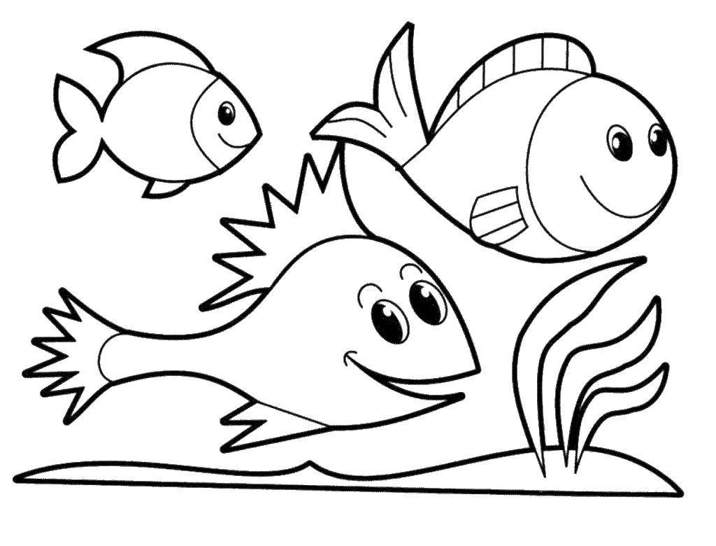 Название: Раскраска Рыбки в море. Категория: рыбы. Теги: рыбки, море, вода.