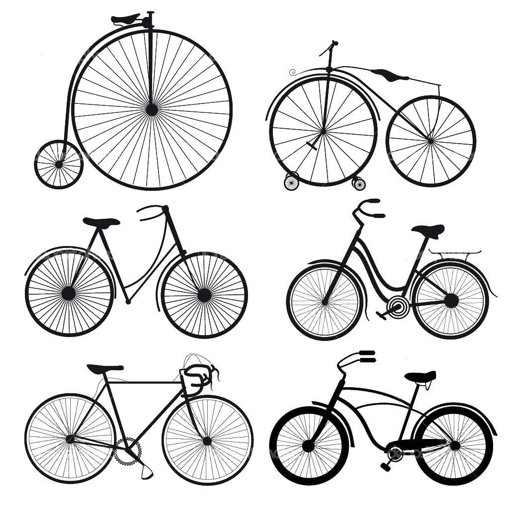Название: Раскраска Велосипеды. Категория: транспорт. Теги: велосипед.