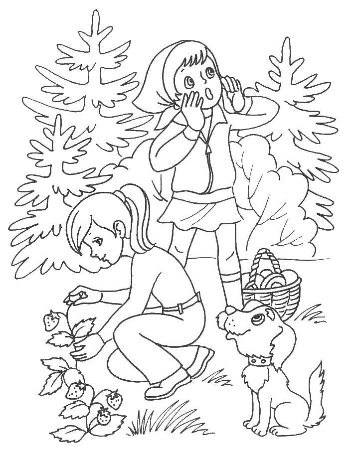 Coloring Girls and a dog in the campaign. Category Camping. Tags:  leisure, nature, Hiking.