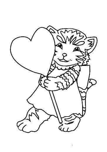 Coloring Kitten with a heart. Category The cat. Tags:  cat, heart.