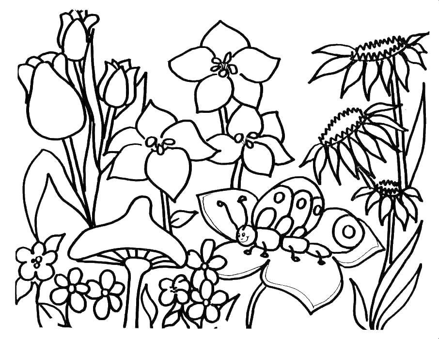 Coloring Garden. Category plants. Tags:  plants, flowers, nature.