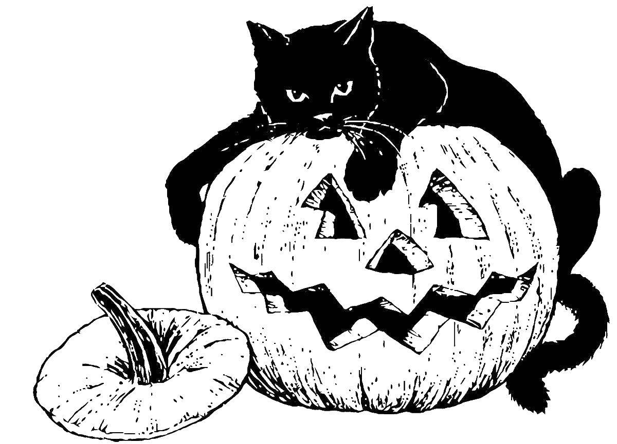 Название: Раскраска Кошка на тыкве. Категория: Хэллоуин. Теги: хэллоуин, кошка, тыква.