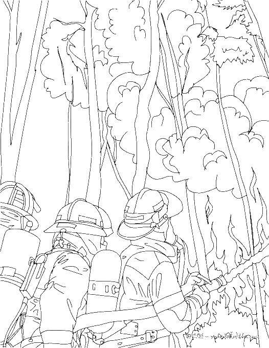 Coloring Firefighters put out the fire. Category Fire. Tags:  fire, fire, fire.