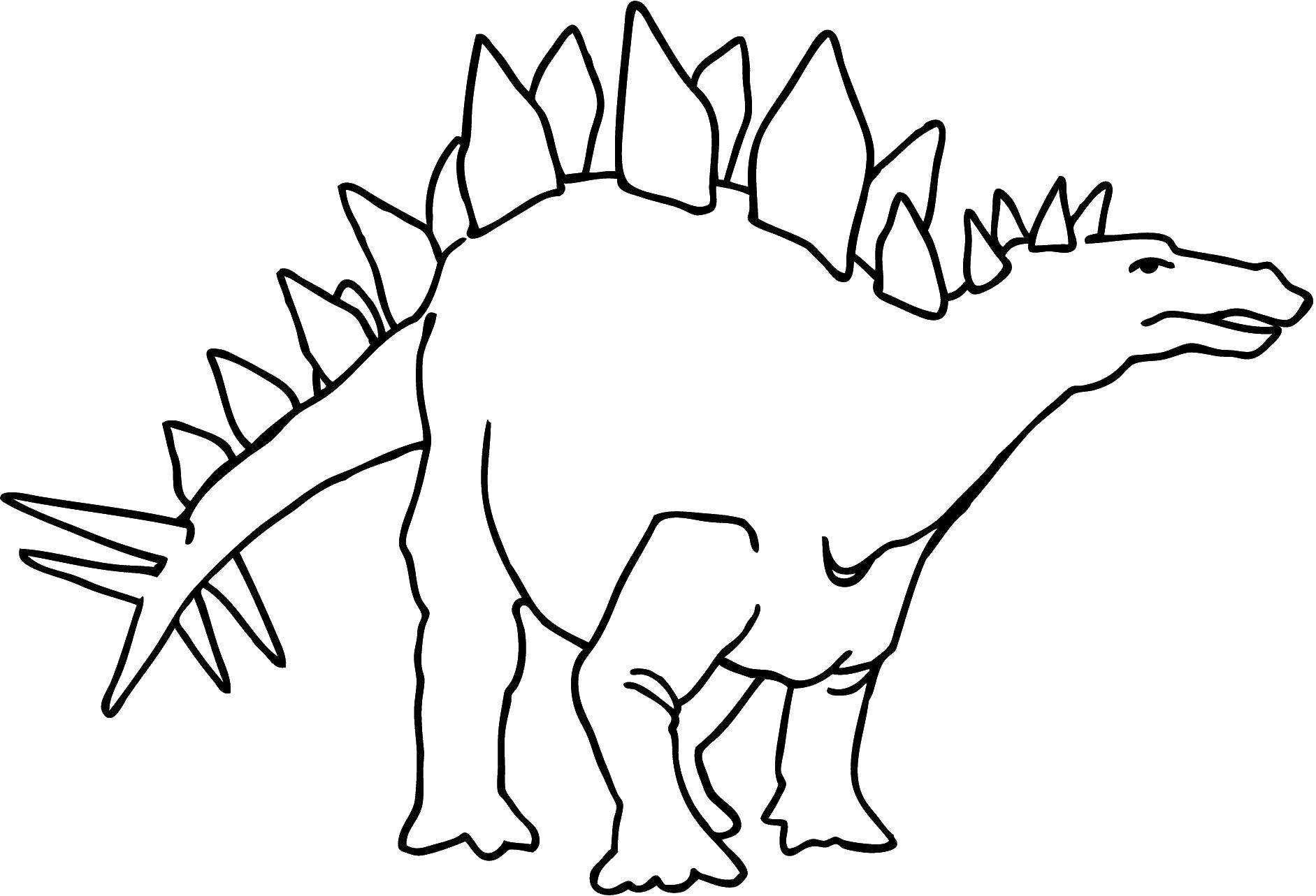 Название: Раскраска Динозавр. Категория: динозавр. Теги: динозавр.