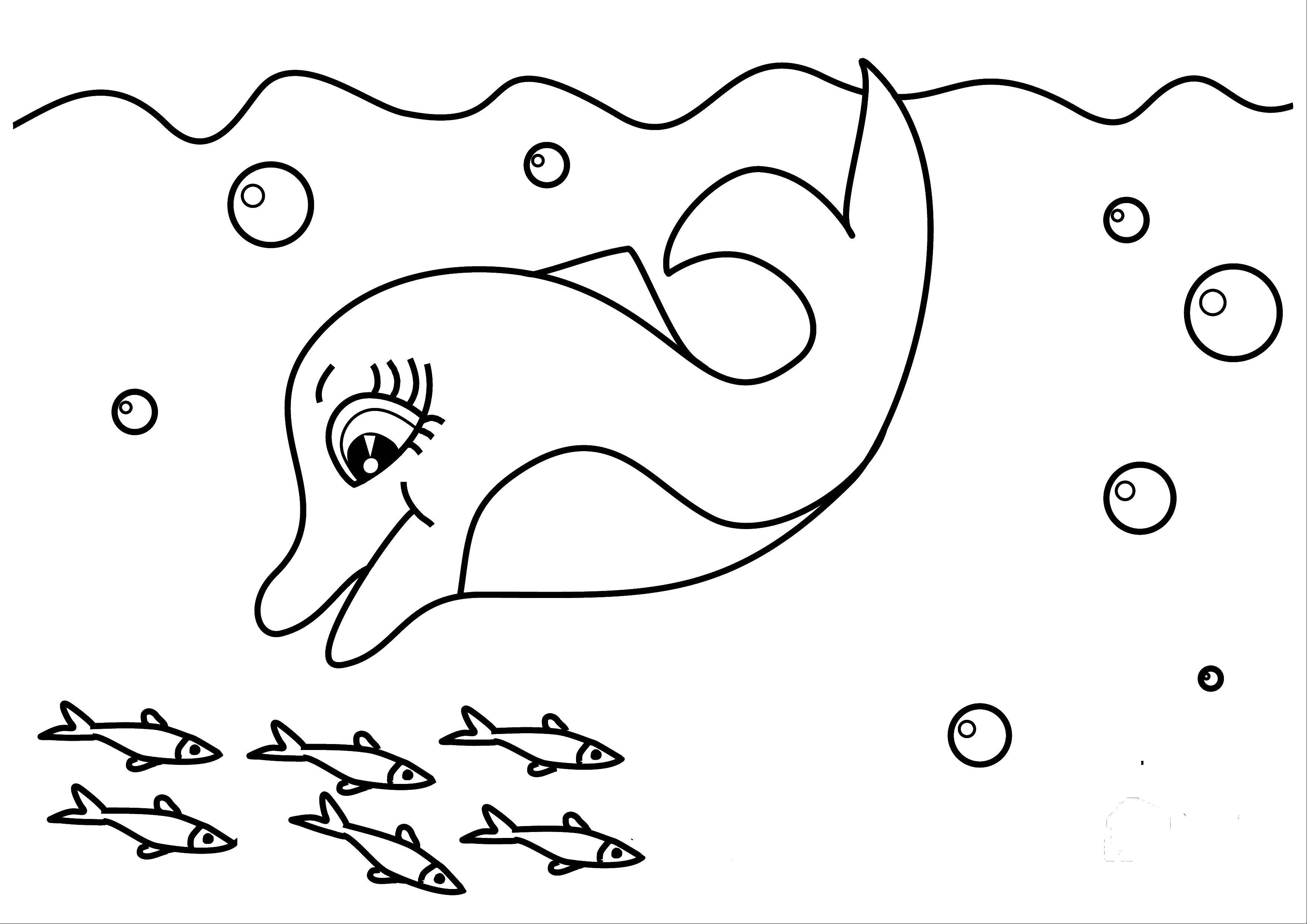 Розмальовки  Морська життя. Завантажити розмальовку Підводний світ, дельфін.  Роздрукувати ,дельфіни,