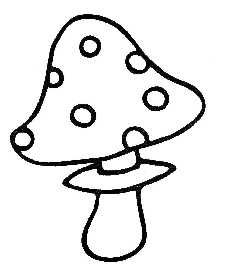 Название: Раскраска Мухоморчик. Категория: грибы. Теги: Грибочек.