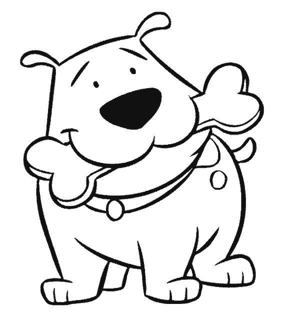 Coloring A dog with a bone. Category Animals. Tags:  animals, dog, puppy.