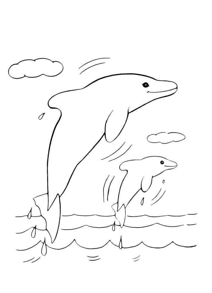 Название: Раскраска Дельфинчики вынырнули из воды. Категория: дельфины. Теги: Подводный мир, дельфин.