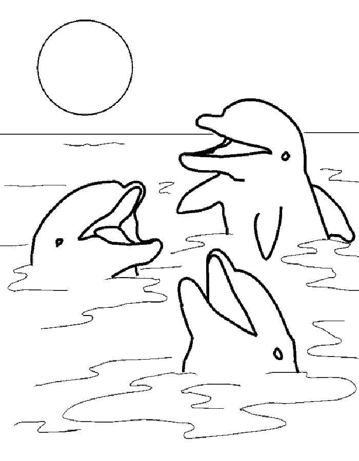 Название: Раскраска Дельфинята. Категория: дельфины. Теги: Подводный мир, дельфин.