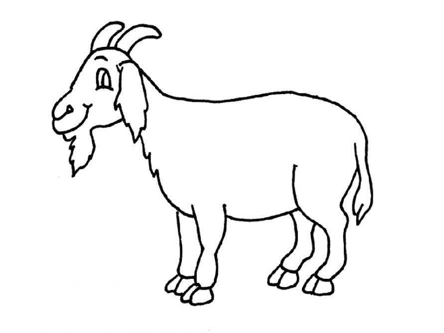 Coloring Goat. Category Pets allowed. Tags:  the goat.