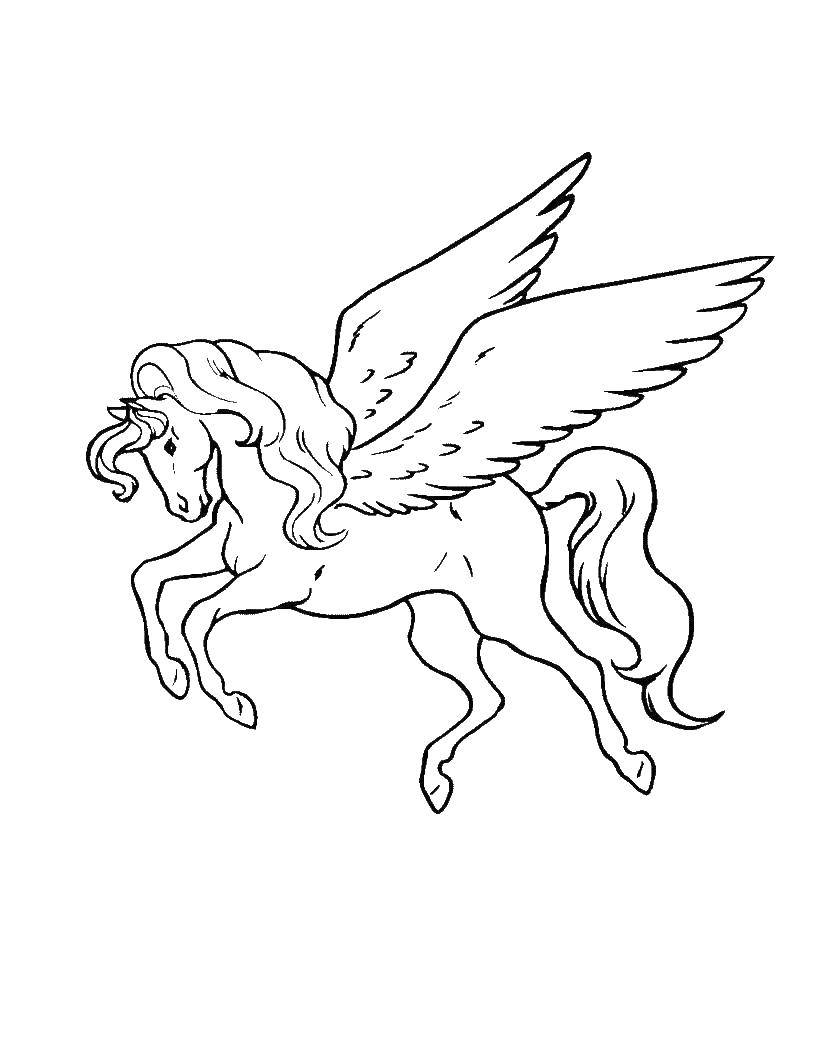 Лошадка с крыльями раскраска
