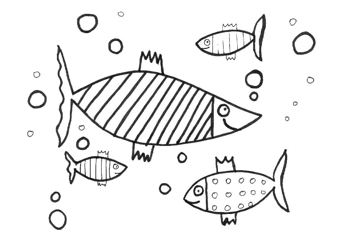 Название: Раскраска Рыбки. Категория: рыбы. Теги: Подводный мир, рыба.