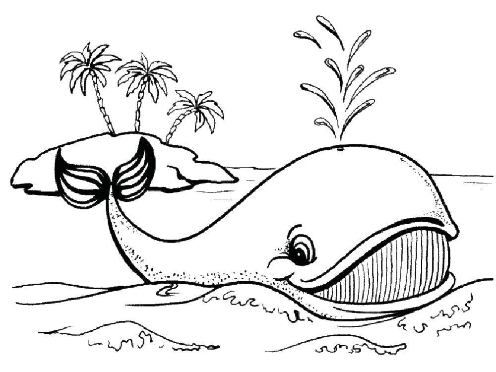 Название: Раскраска Весёлый кит. Категория: кит. Теги: Подводный мир, рыба, кит.