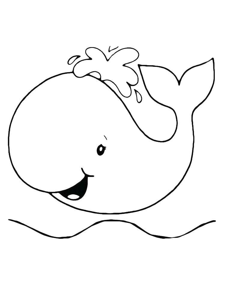 Название: Раскраска Кит пускает фонтанчик. Категория: кит. Теги: Подводный мир, рыба, кит.