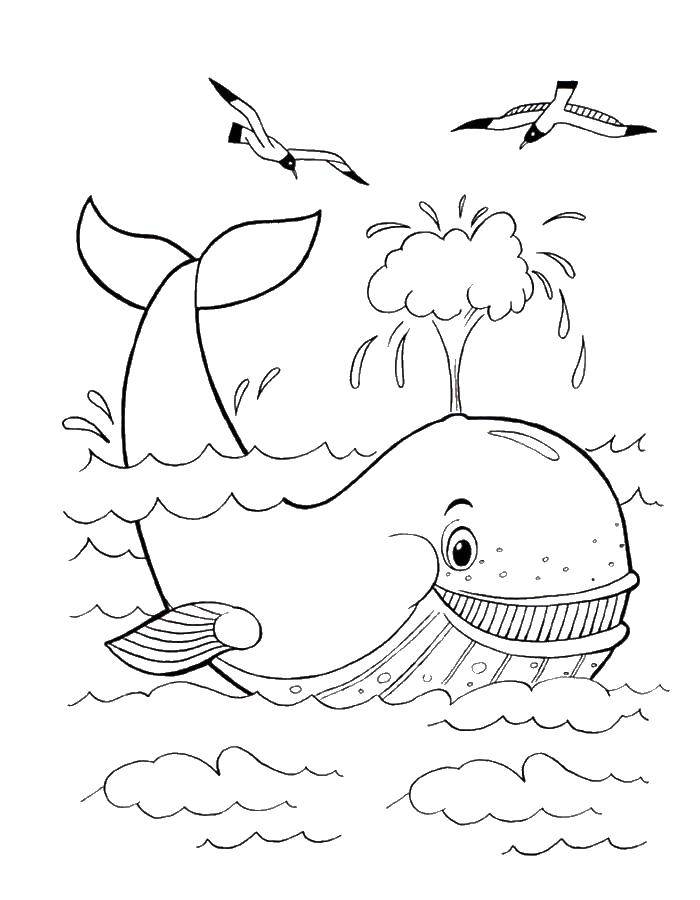 Coloring Kit. Category Keith . Tags:  the sea, marine life, marine animals, whale.