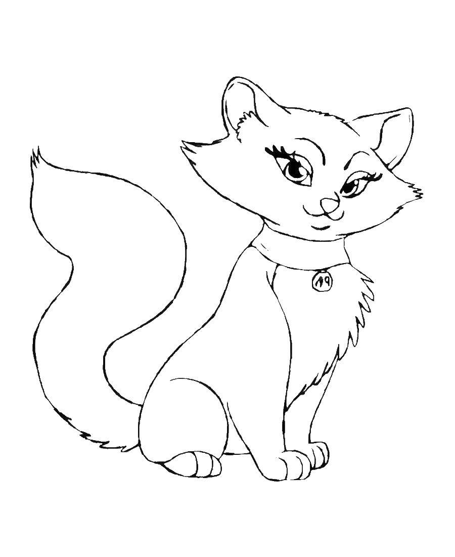 Coloring Kitty. Category The cat. Tags:  animals, cat, kitten.
